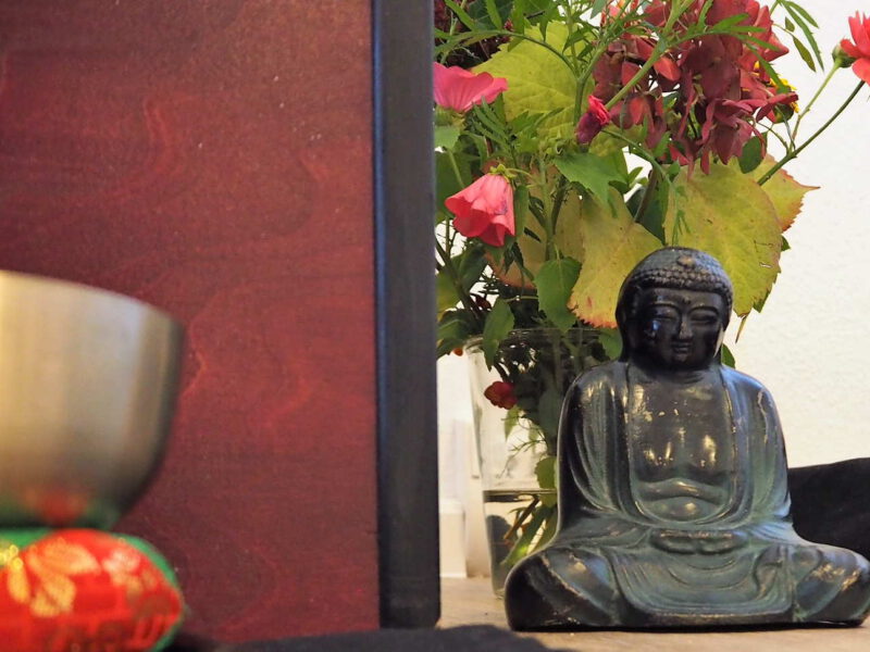 DEIN FREIRAUM Newsletter