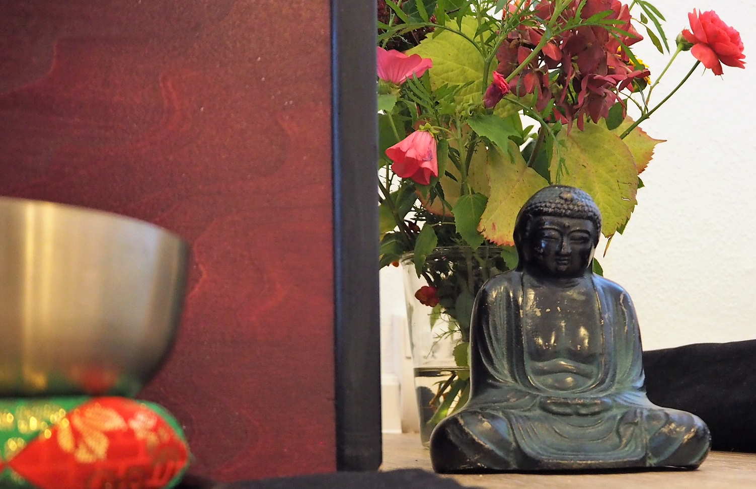 DEIN FREIRAUM Newsletter